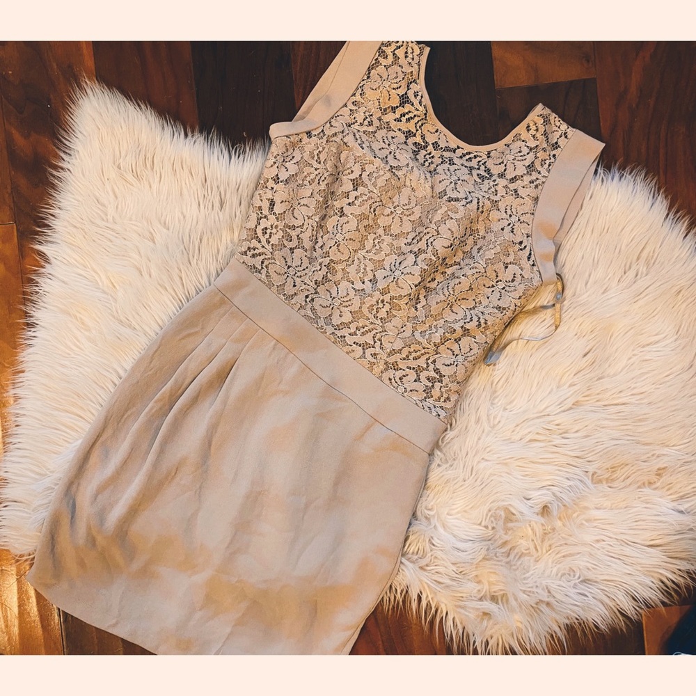 bcbg tan mini dress